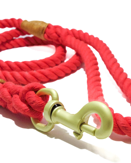 100% Cotton Leash|Red