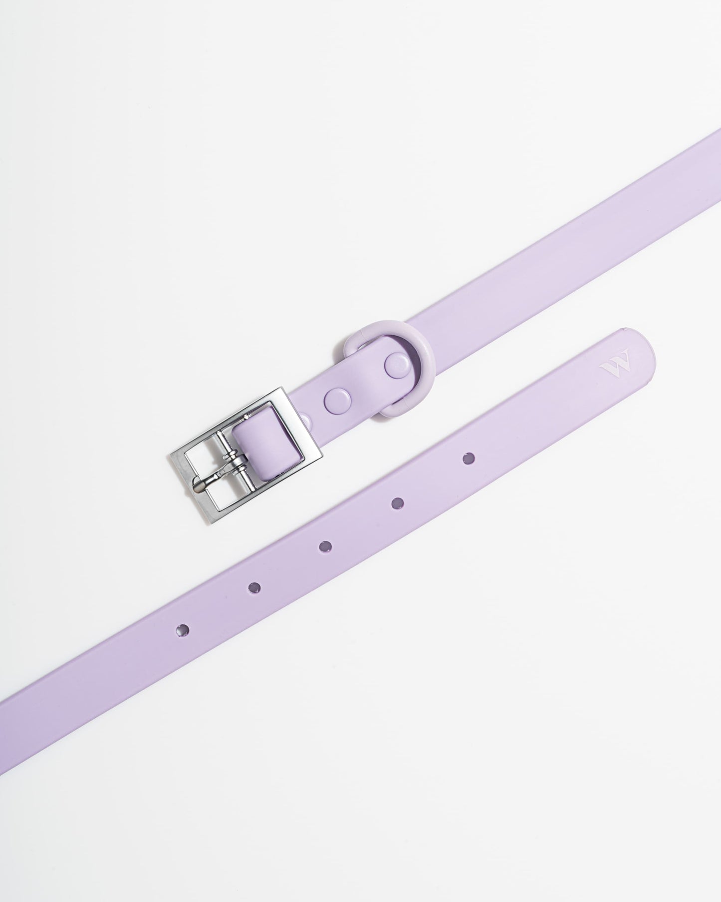 Wild One - Dog Collar|Lilac