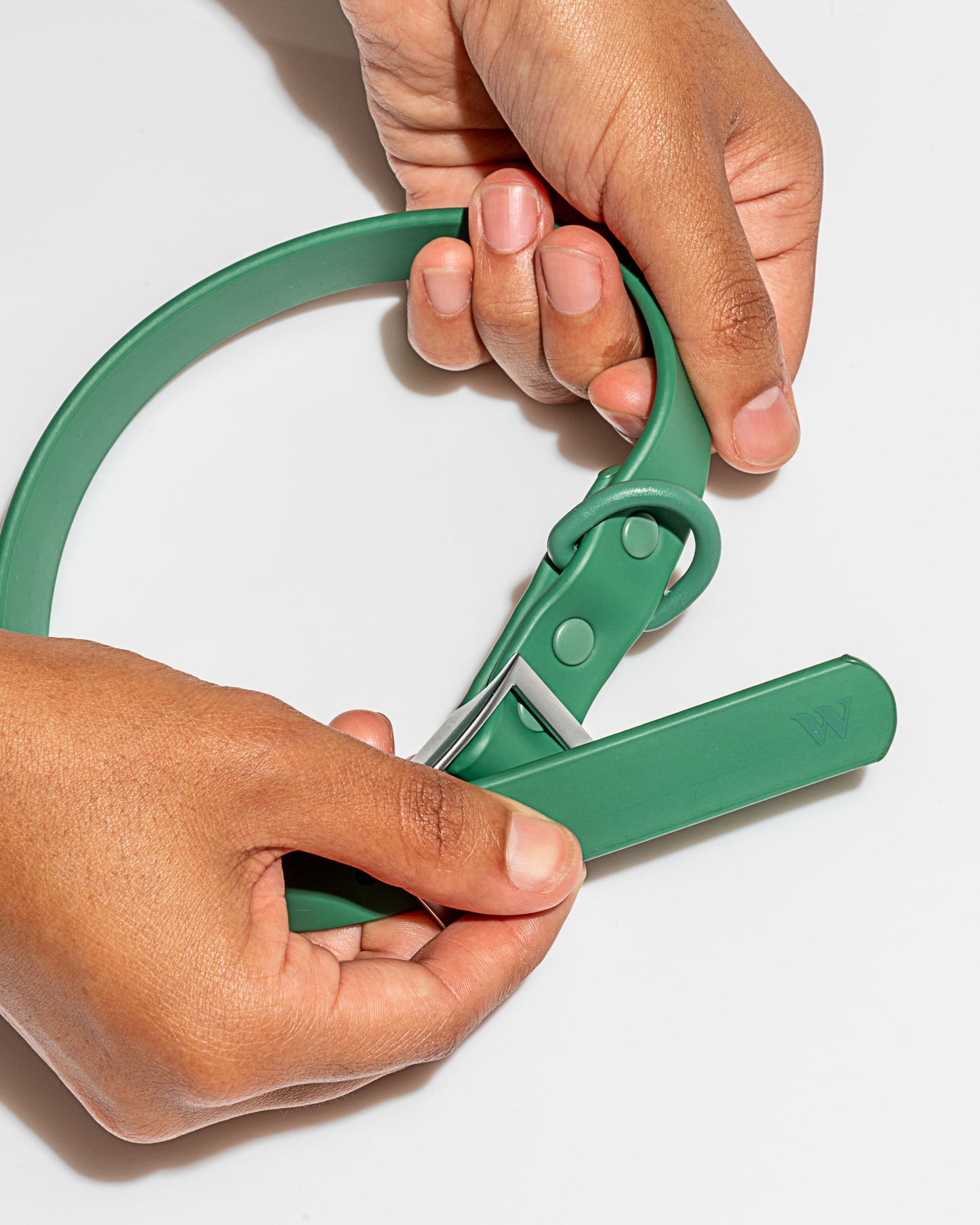 Wild One - Dog Collar|Spruce