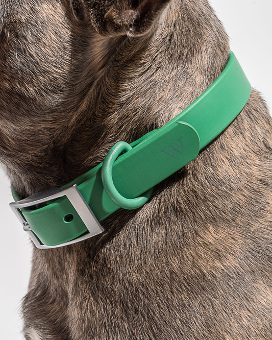Wild One - Dog Collar|Spruce