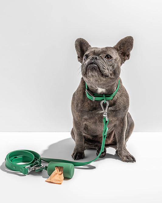Wild One - Dog Leash|Spruce