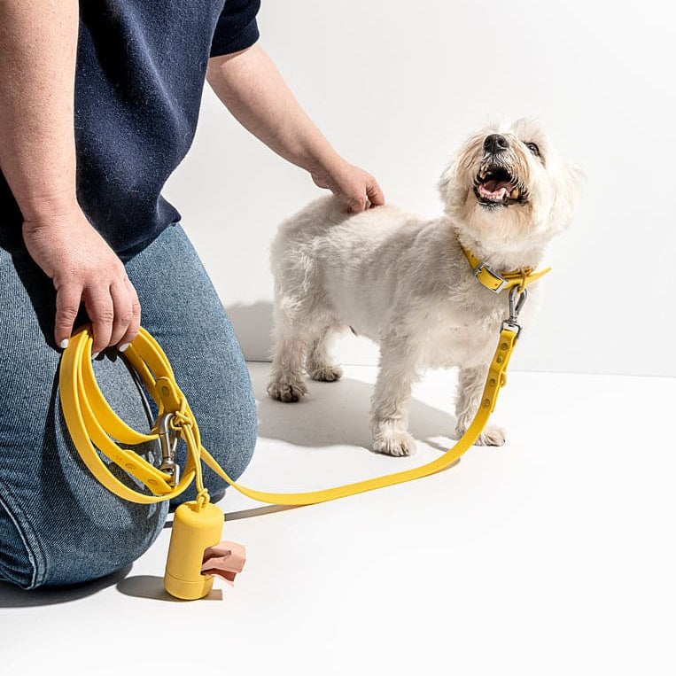 Wild One - The Walk Set|Butter