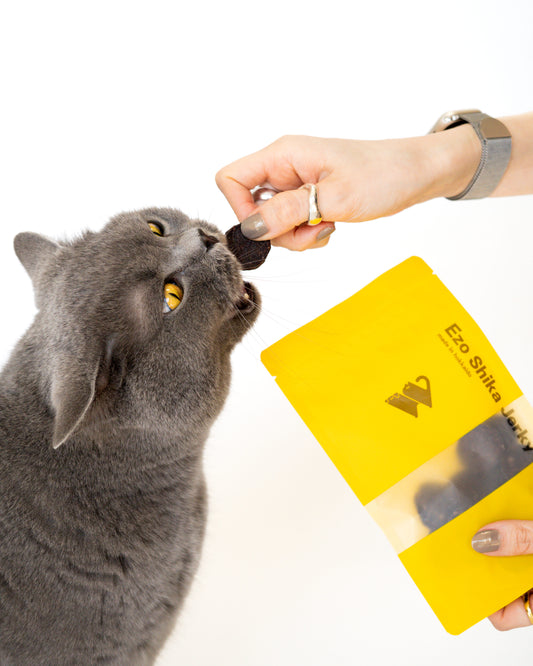 Ezo Shika Jerky|Coin-Chip