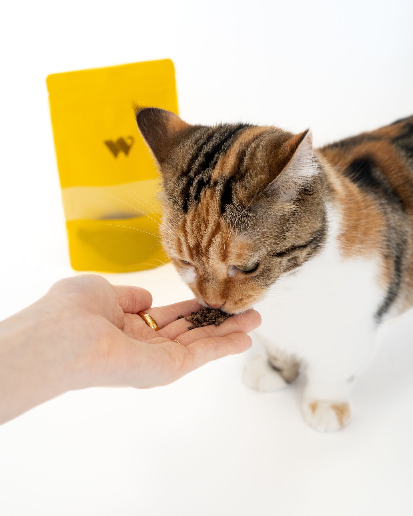 Ezo Shika Jerky|Kari Kari Flakes