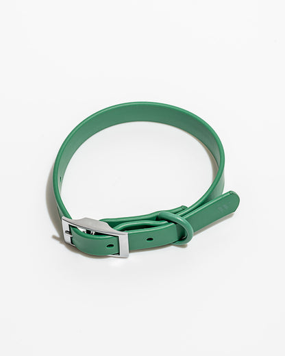 Wild One - Dog Collar｜Spruce