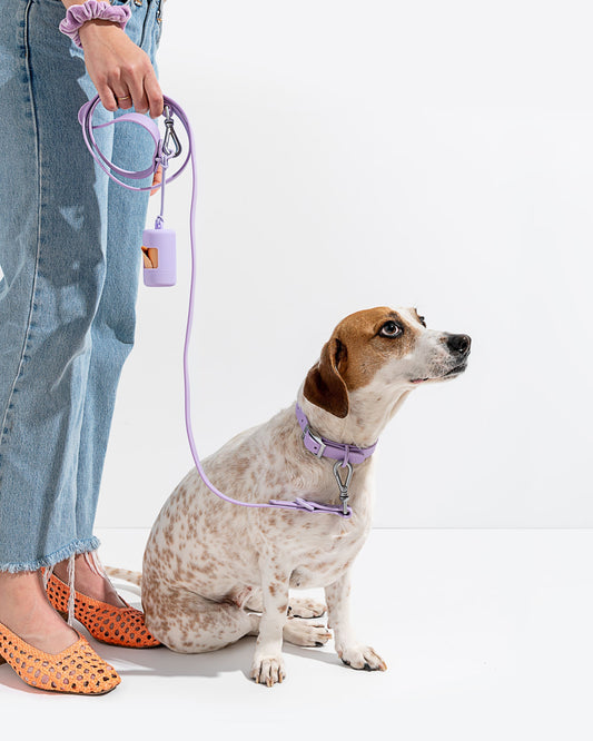 Wild One - Dog Leash｜Lilac