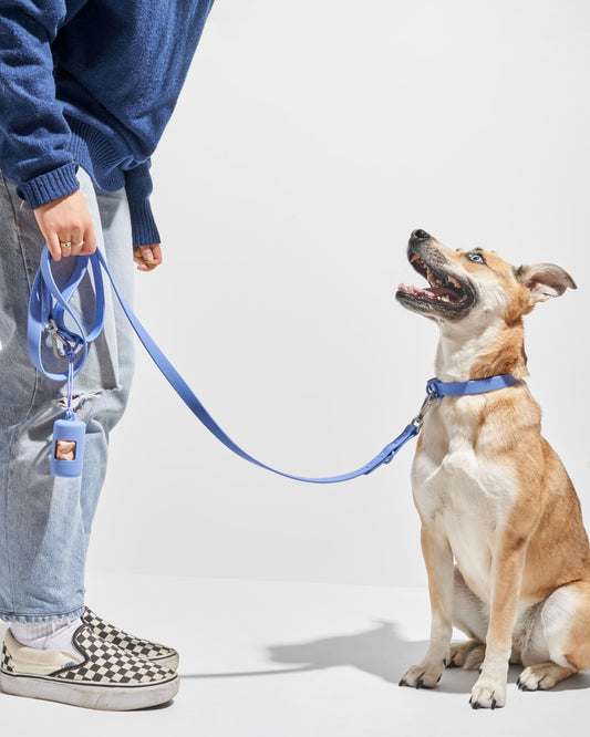 Wild One - Dog Leash｜Moonstone