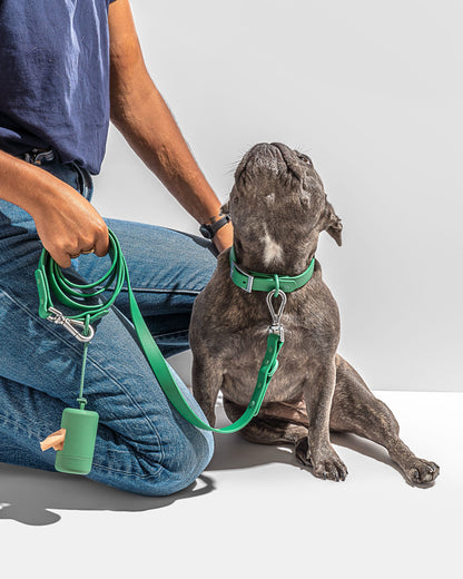 Wild One - Dog Leash｜Spruce